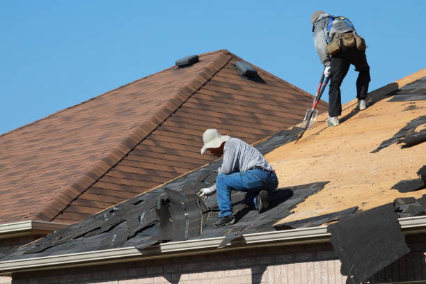 Sheet Metal Roofing in Pinellas Park, FL